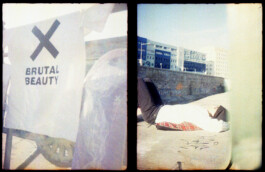 BRUTAL BEAUTY 